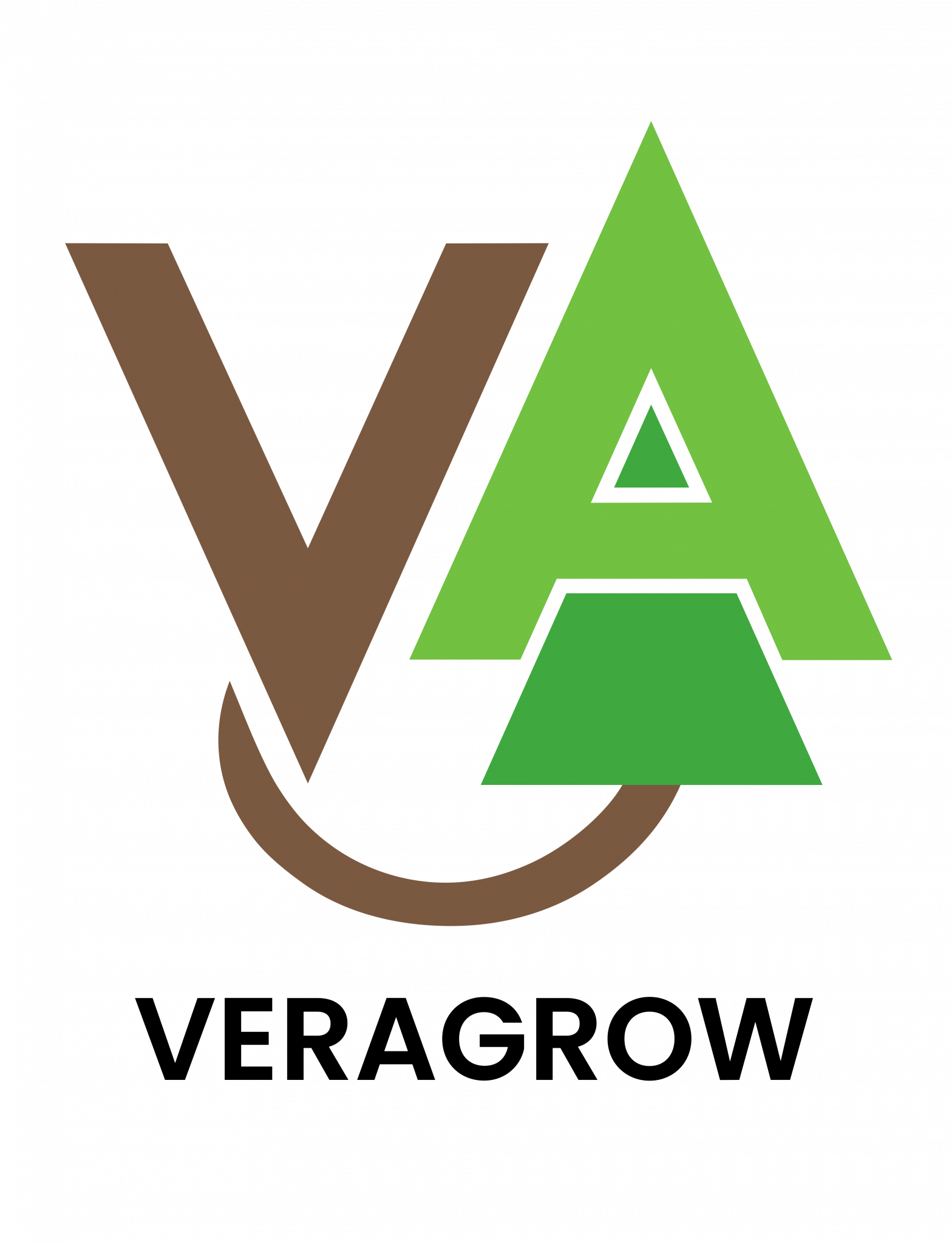 Biostimulant et solution d'enrobage à base de principes-actifs issus des vers de terre