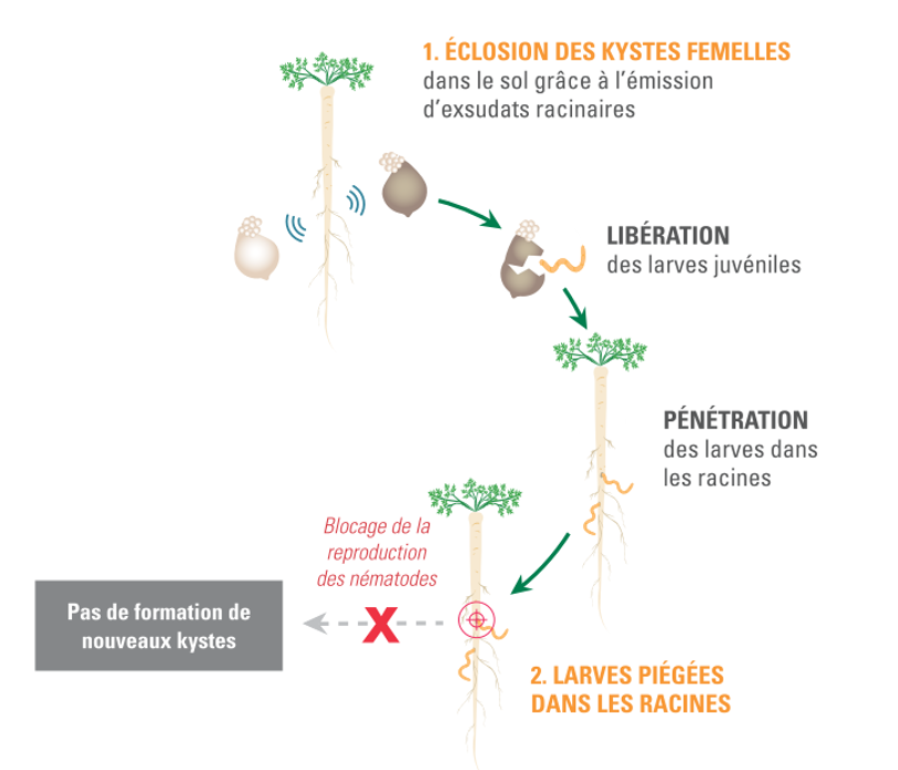 Déploiement d’une solution du contrat de solutions : Terapur ®