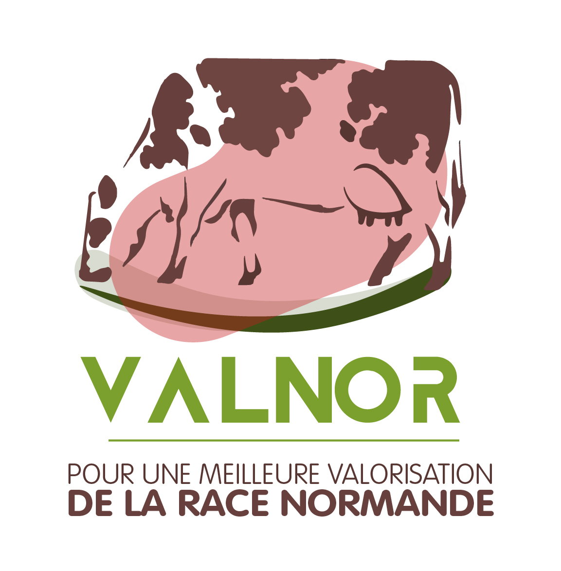 VALNOR