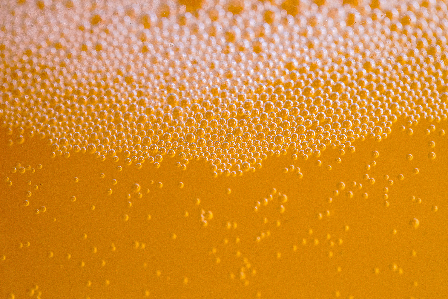 OAD de choix de levure de fermentation